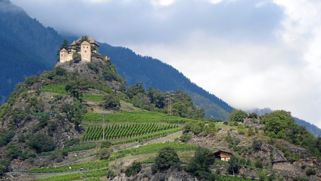 2011-08-01 11.18.06.jpg